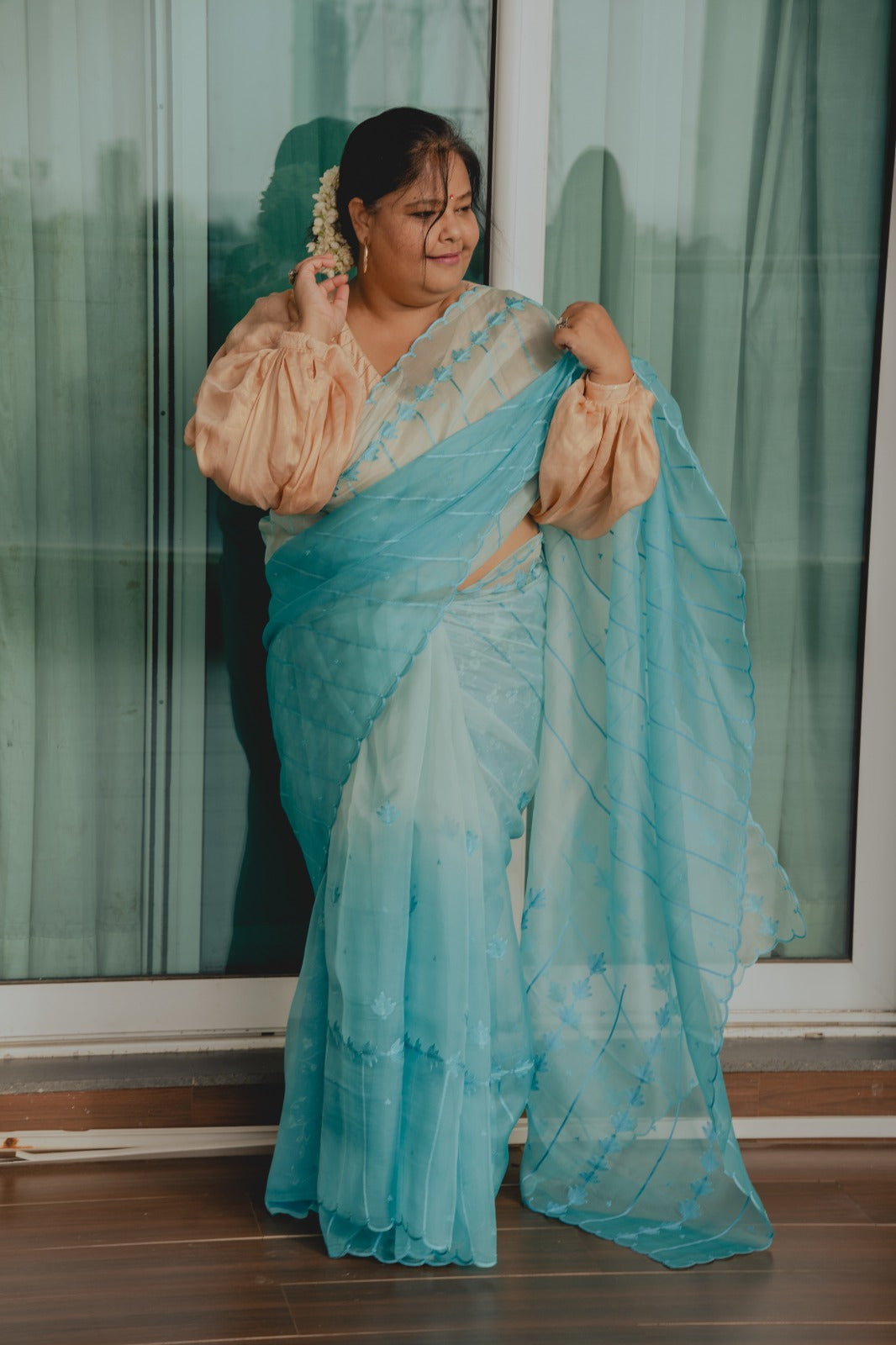 Sky Blue Organza Shaded Saree