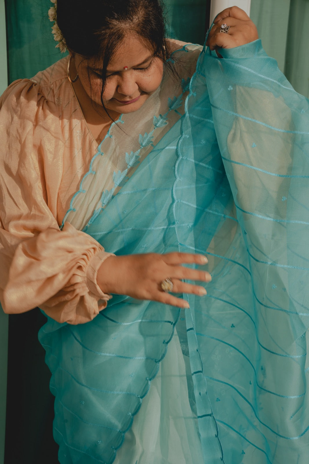 Sky Blue Organza Shaded Saree 1