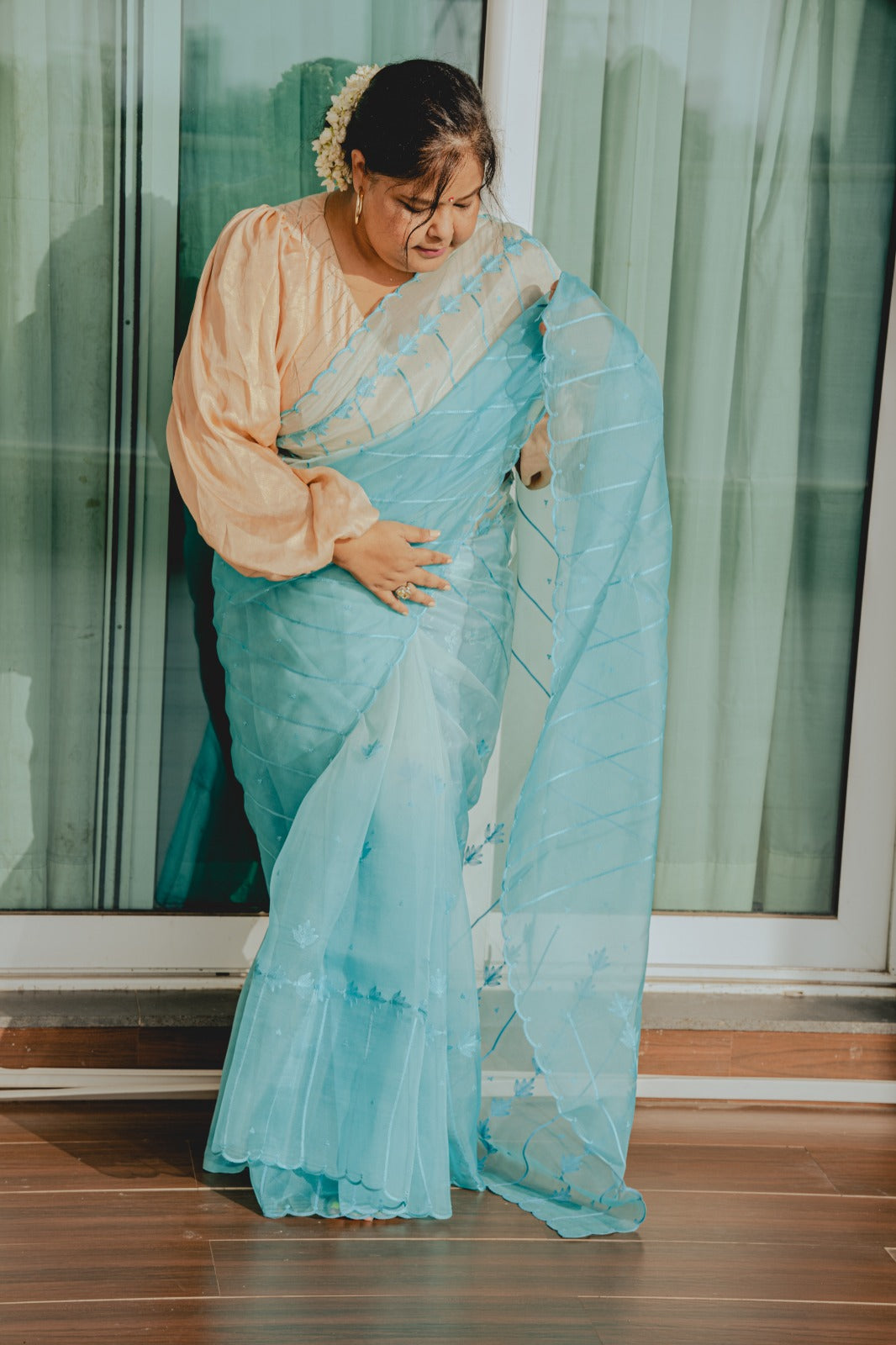 Sky Blue Organza Shaded Saree 3