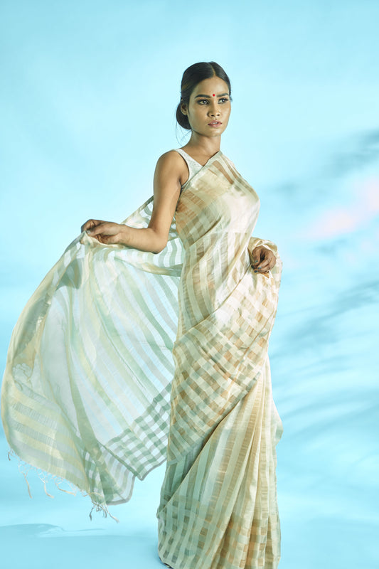 chiniya tissue handwoven banarasi saree with stripe design and check design on border.