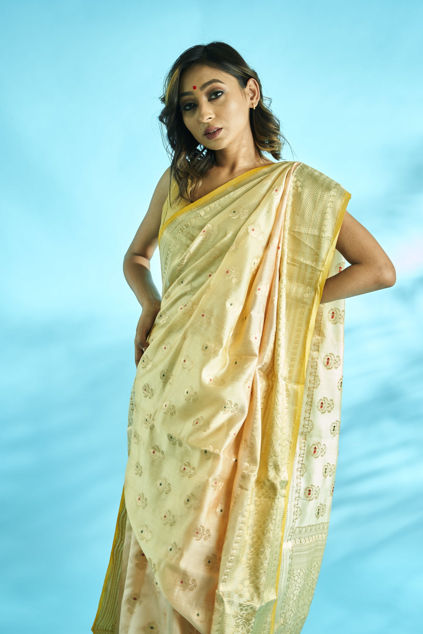 chiniya silk handwoven banarasi saree with gold zari buti and resham meena buta, skirt border with resham zari.